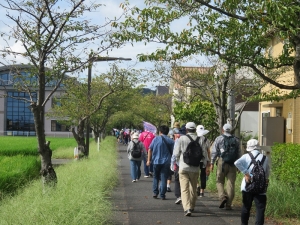 桜並木の廃線地を爽快に