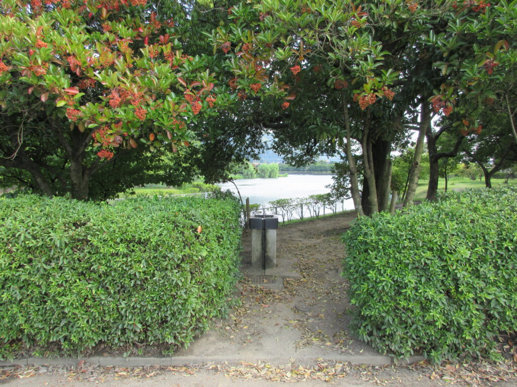 水島緑地福田公園ランニングコース