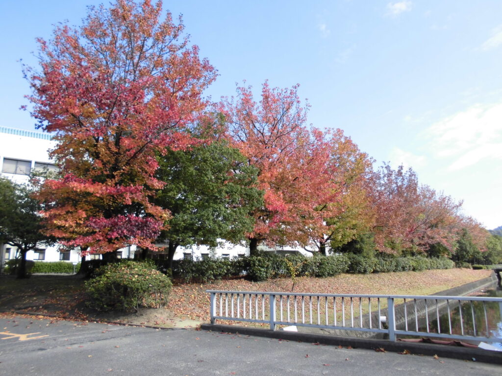 水島緑地福田公園ランニングコース