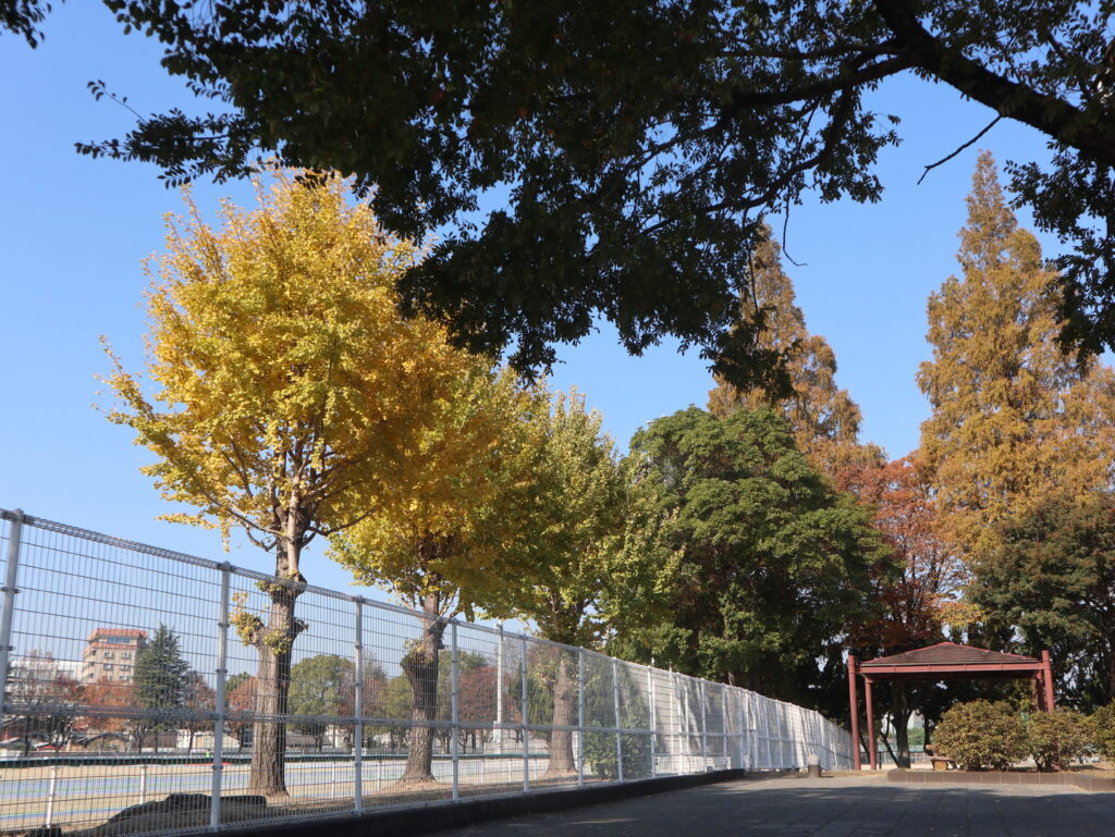 倉敷運動公園広場