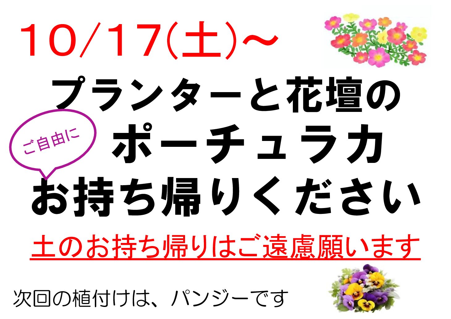 カメラ散歩