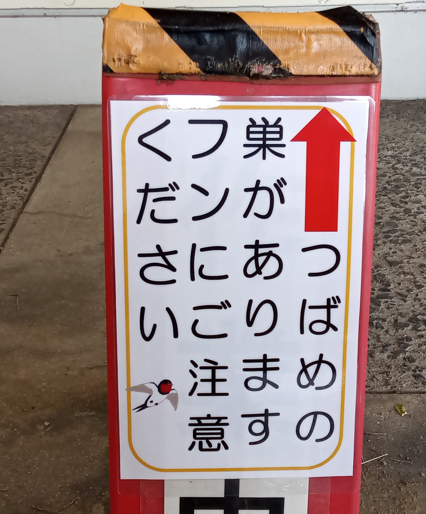 カメラ散歩