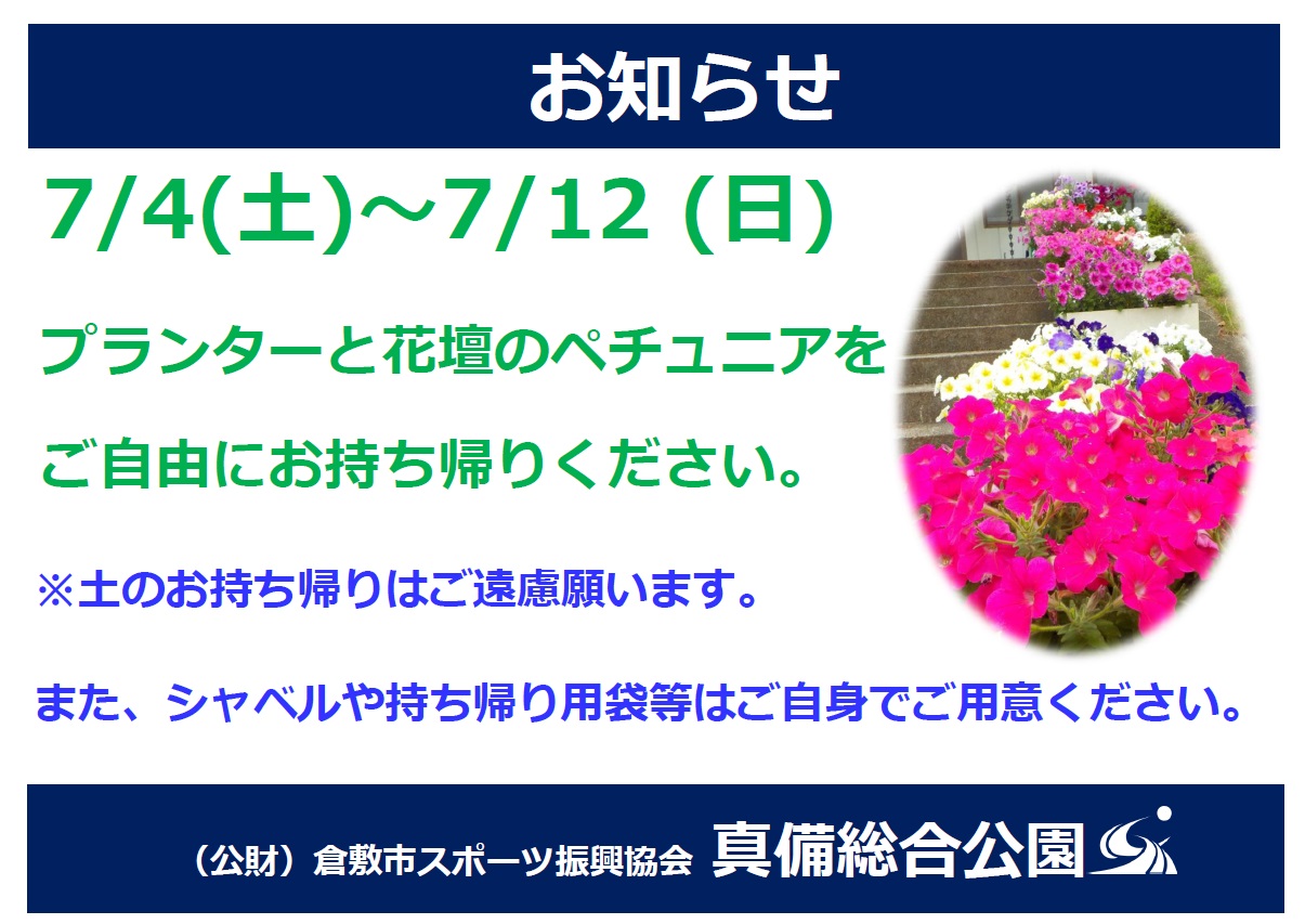 カメラ散歩