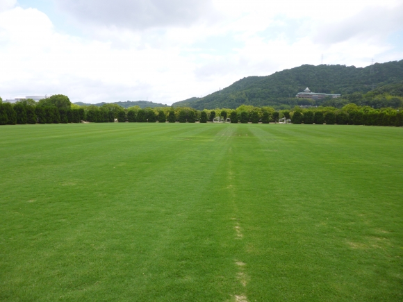 サッカー場兼ラグビー場