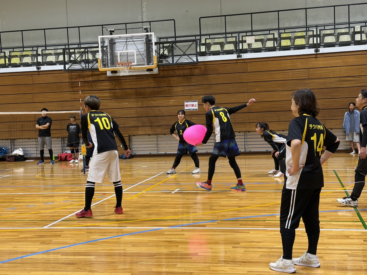 児島地区秋季ふらばーるバレーボール大会