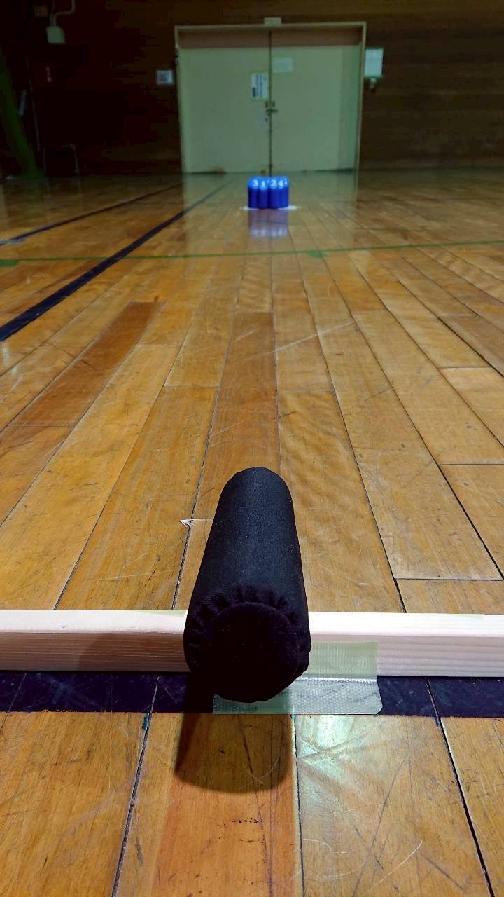 今月はモルックです