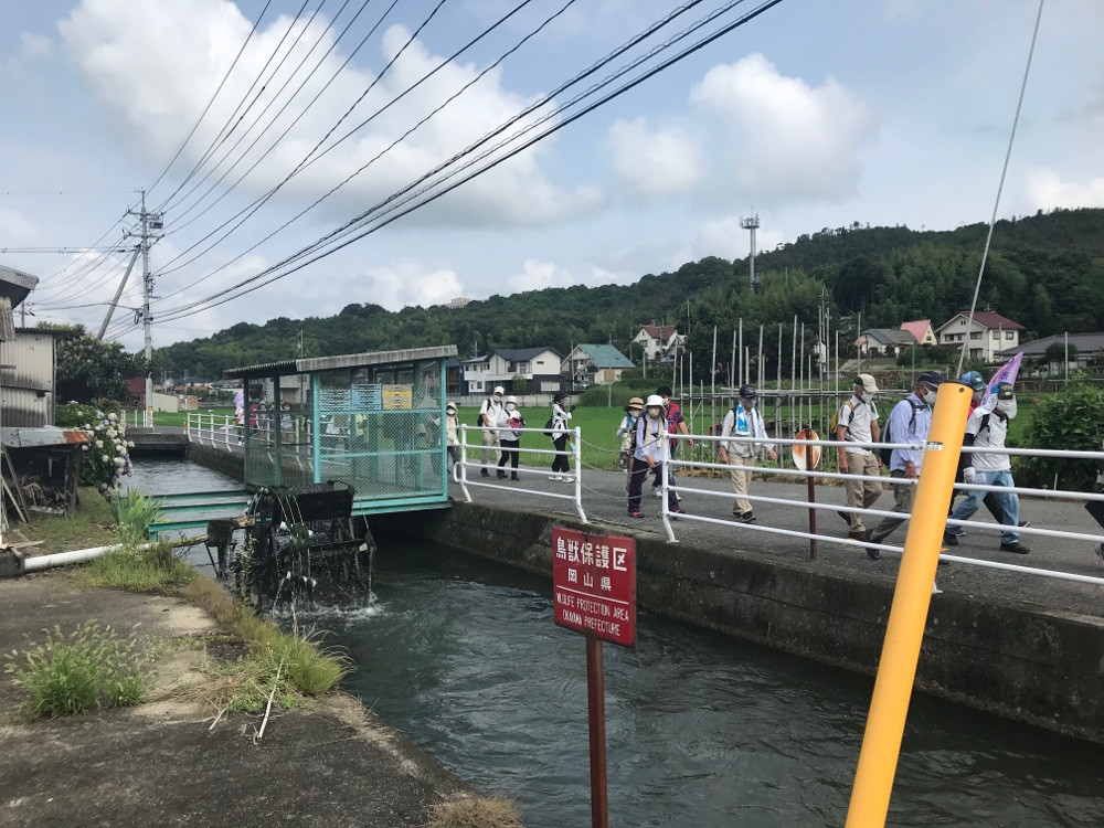 最近はあまり見ることが無くなった水車です。これで田んぼに水を汲み上げてるんですね