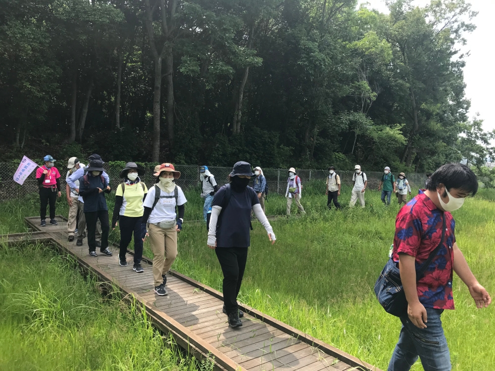 重井薬用植物園の湿地帯