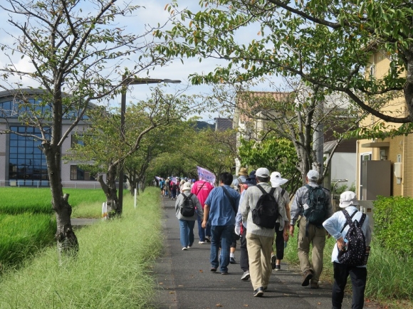 桜並木の廃線地を爽快に