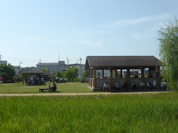 阿賀崎公園で最初の休憩、皆さん日陰を求めて…