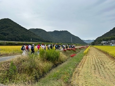 きれいな稲穂の田が、左右に広がります。