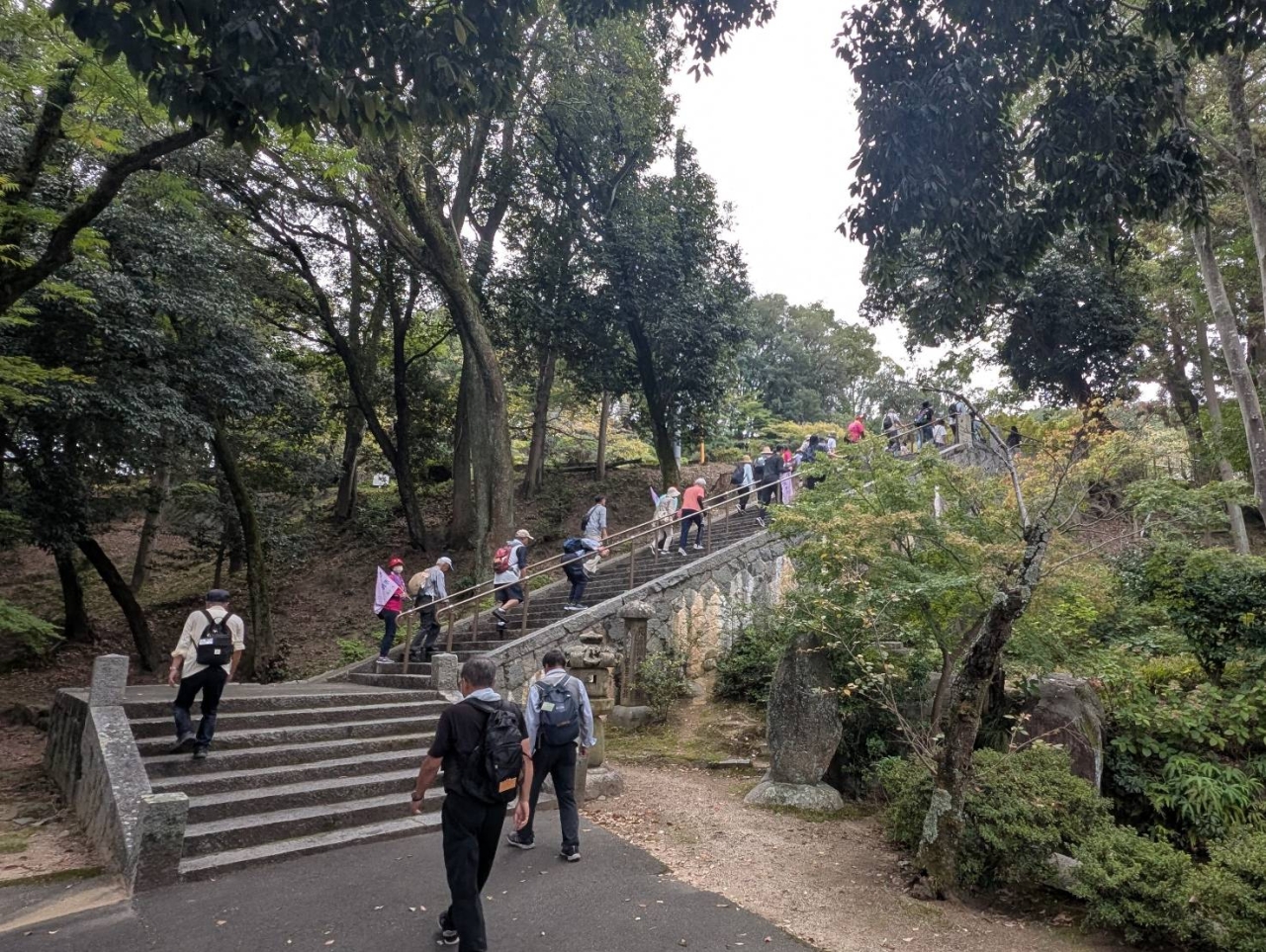 坂道からの階段はハードです