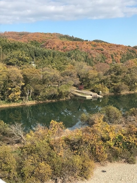 水江の渡しの船着き場。隣を歩く方に教えてもらいました。