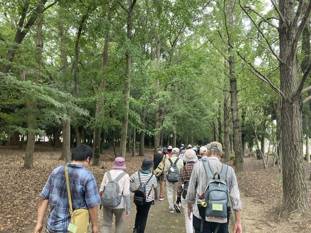 都市公園は影があってホッと一息