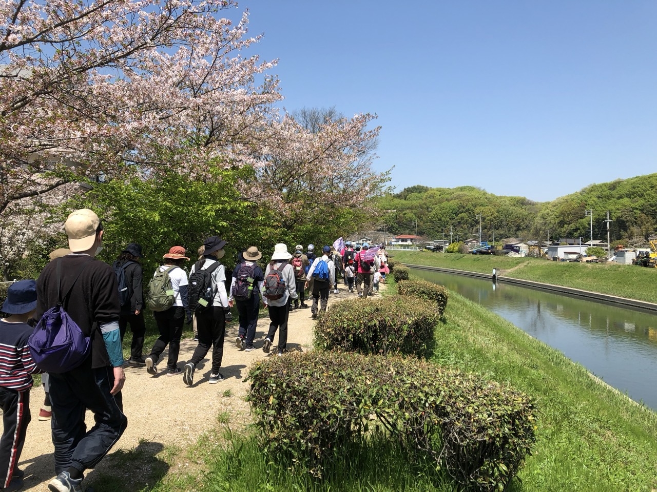 福原緑地公園で休憩したあと、倉敷川沿いを市役所へ向けて北上しました。