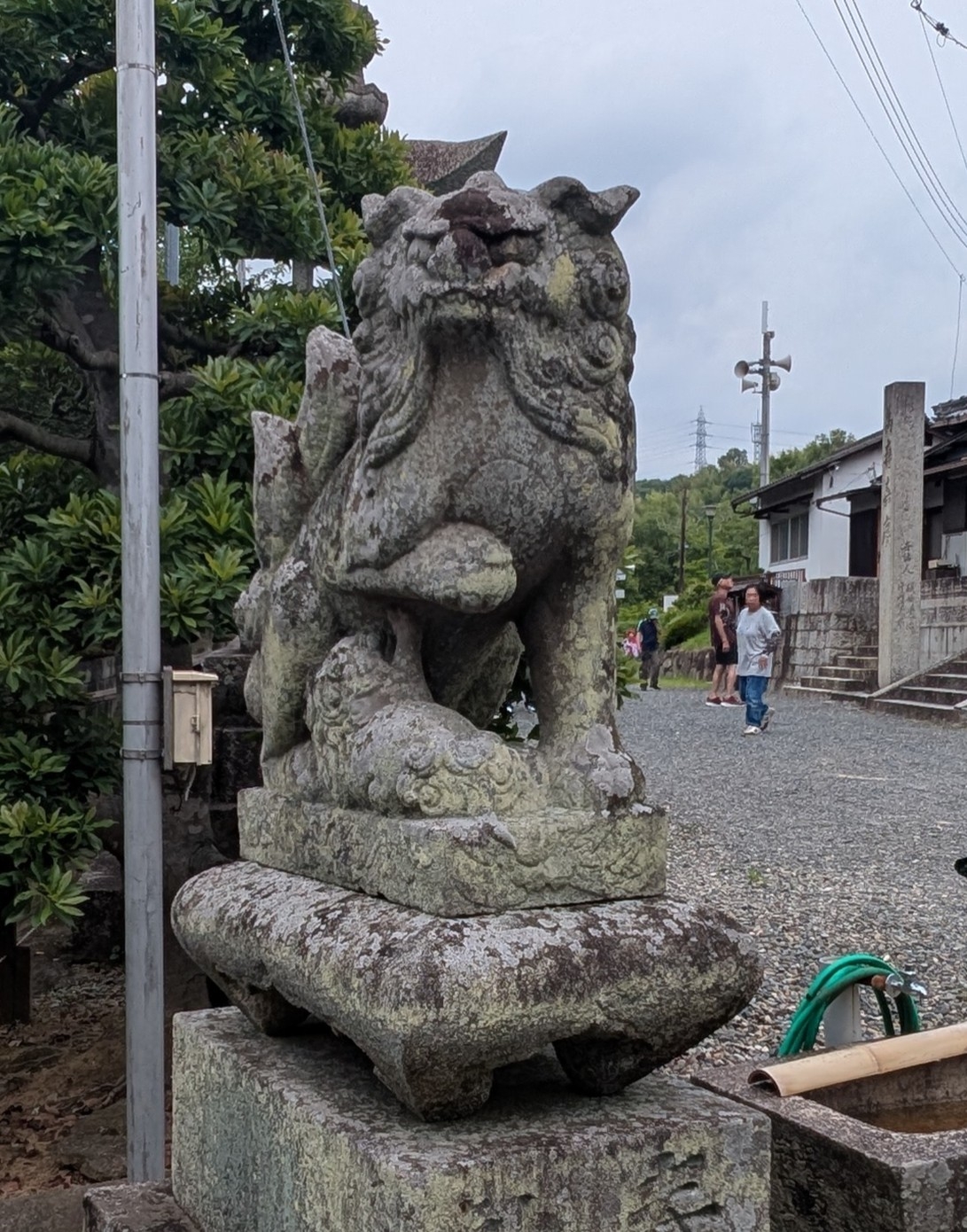 道口八幡神社 乳吸い狛犬