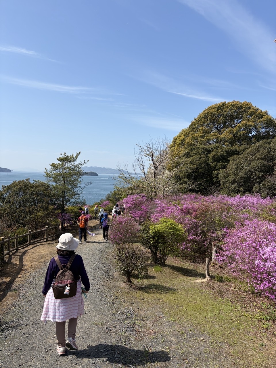 通仙園ではツツジが見ごろでした