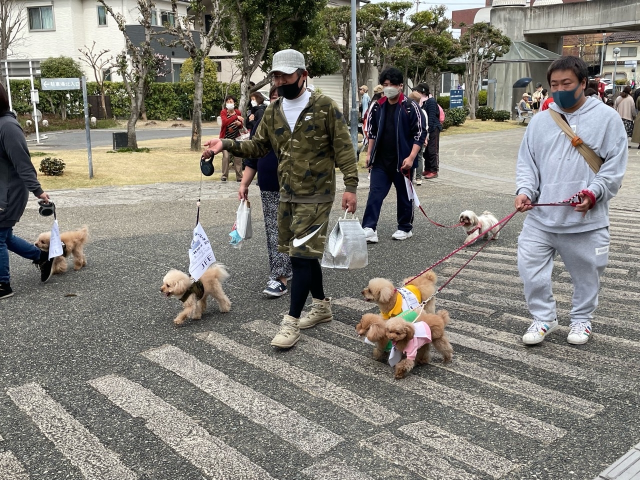 ワンちゃんたちも元気に歩きます。